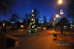  WIGILIA W PARKU 