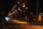  WIGILIA W PARKU 