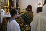 Dożynki parafialne 2014 :: fot. Ks. Wojciech Marczewski, Agata Bednarczyk 