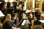 KONCERT